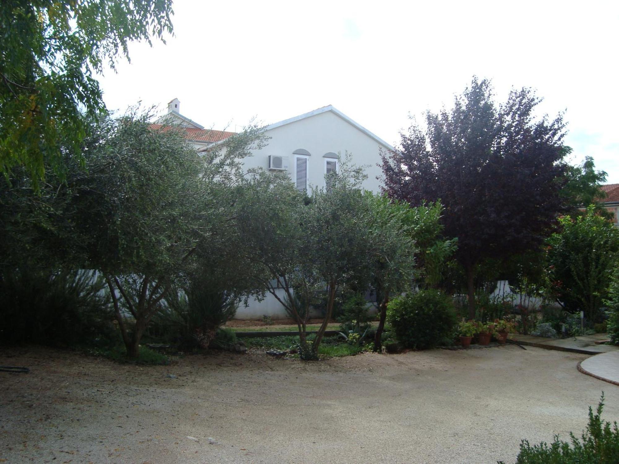 Apartments Eja Zadar Eksteriør billede
