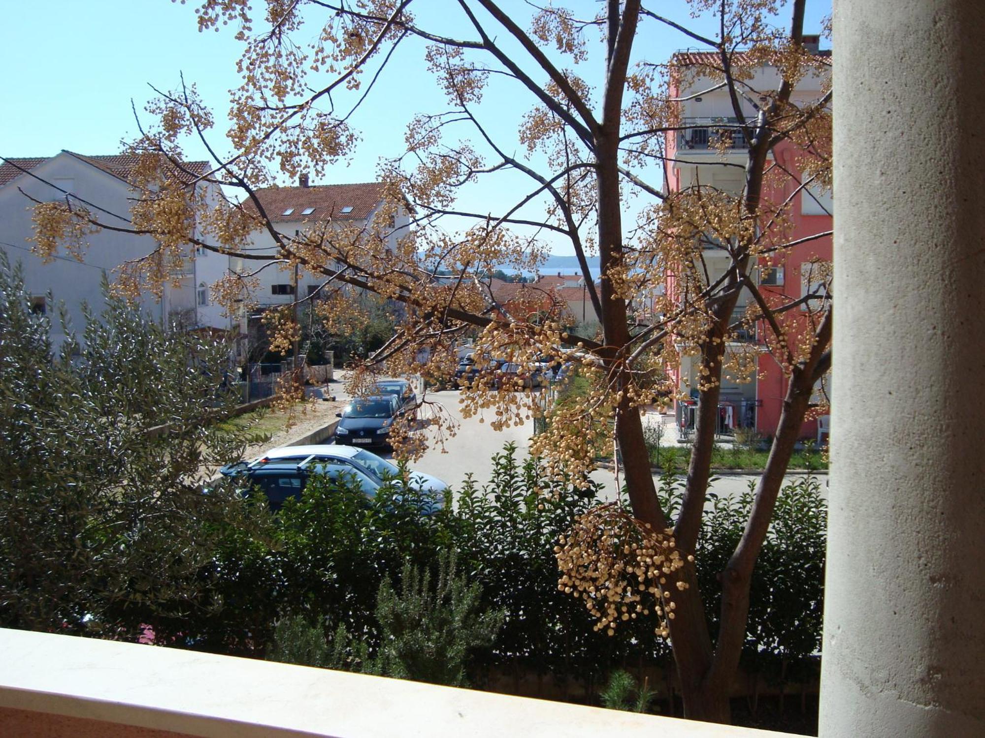 Apartments Eja Zadar Eksteriør billede